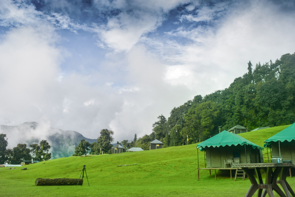 Chopta Meadows